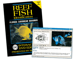 Reef Fish ID: Florida, Caribbean, Bahamas - Interactive Edition
